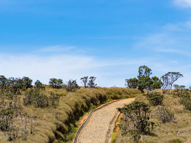 Horton Plains National Park