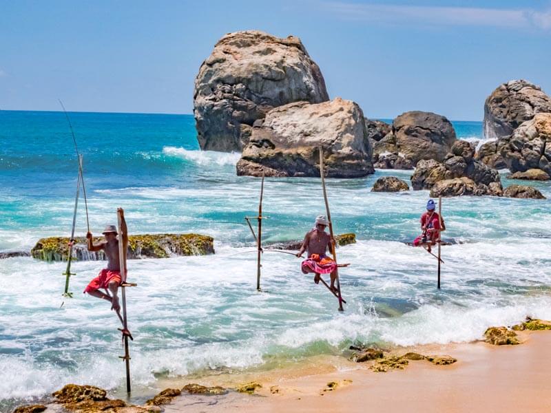 Stilt Fishing Koggala